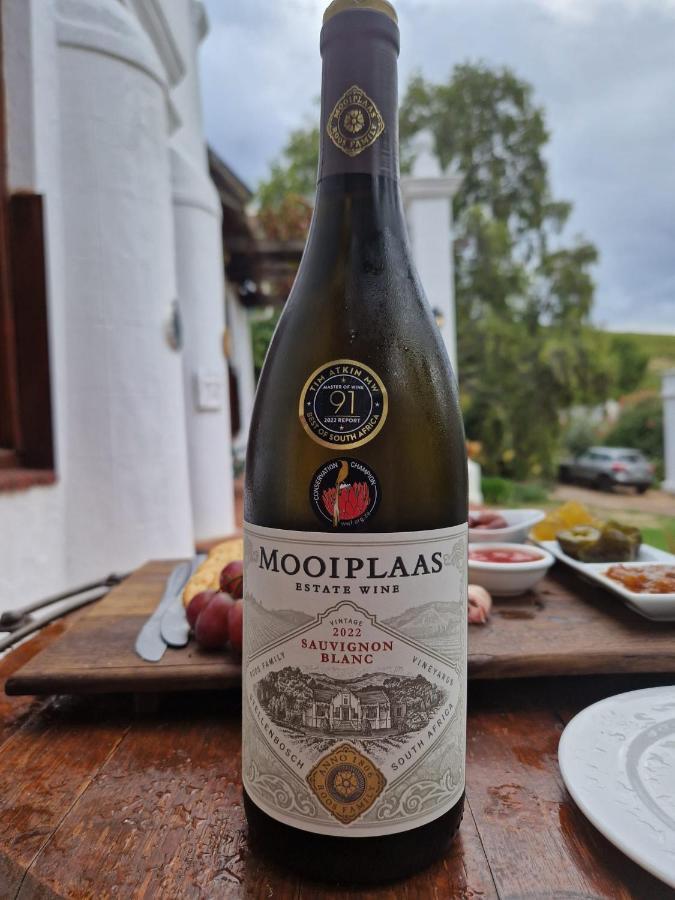 דירות סטלנבוש Mooiplaas Wine Estate מראה חיצוני תמונה