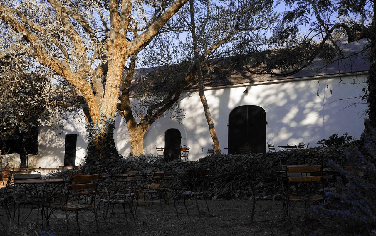 דירות סטלנבוש Mooiplaas Wine Estate מראה חיצוני תמונה