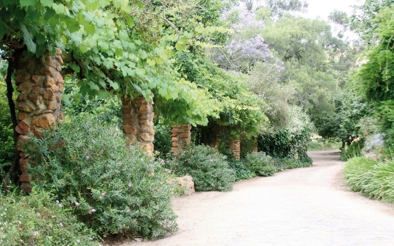דירות סטלנבוש Mooiplaas Wine Estate מראה חיצוני תמונה