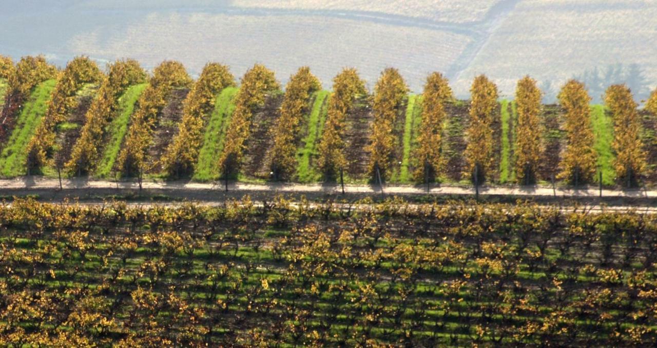 דירות סטלנבוש Mooiplaas Wine Estate מראה חיצוני תמונה