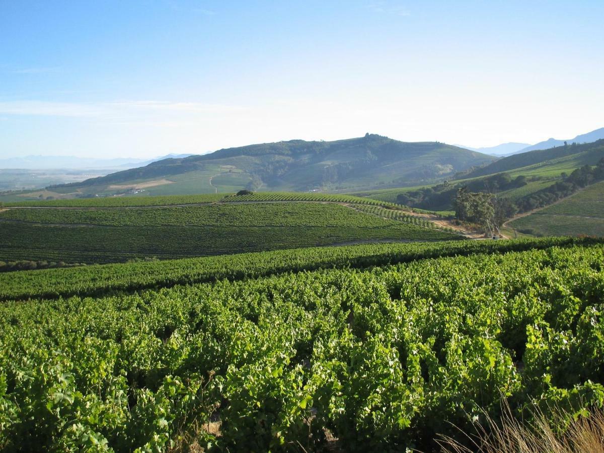 דירות סטלנבוש Mooiplaas Wine Estate מראה חיצוני תמונה