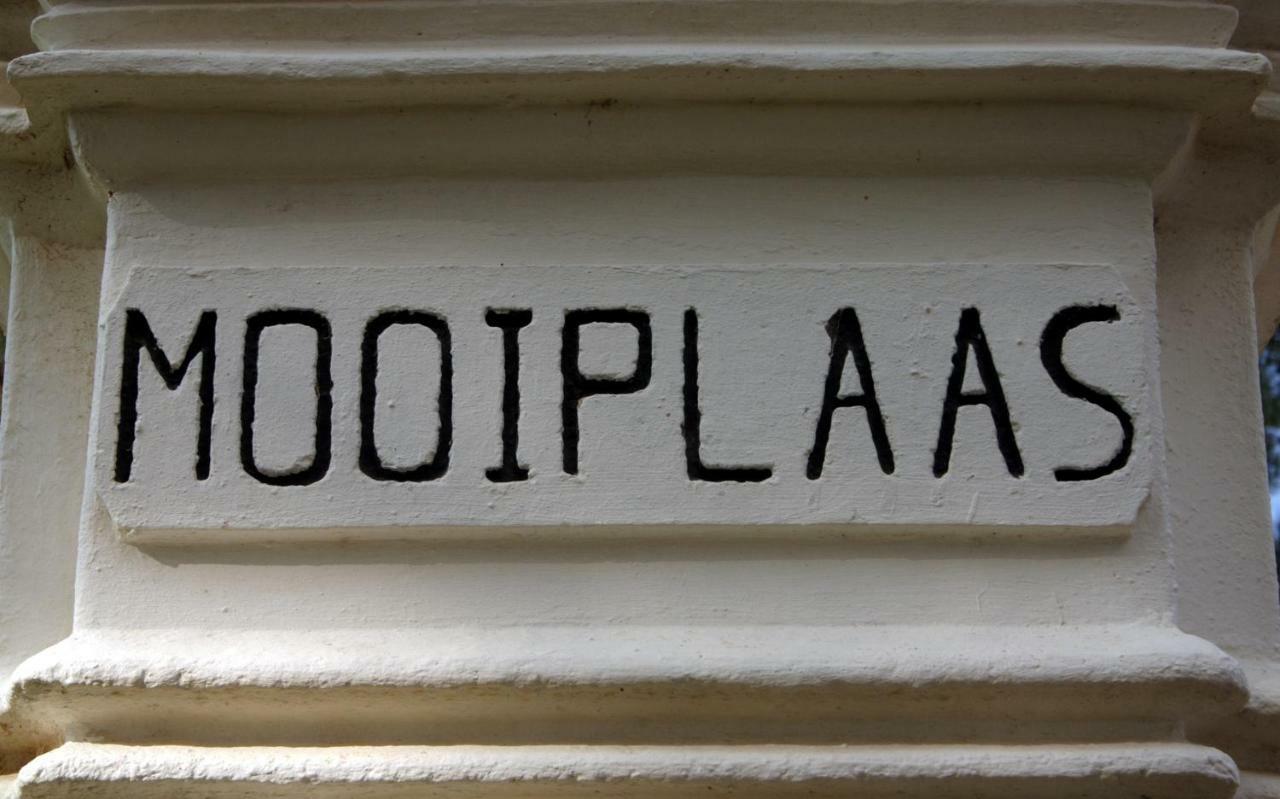 דירות סטלנבוש Mooiplaas Wine Estate מראה חיצוני תמונה