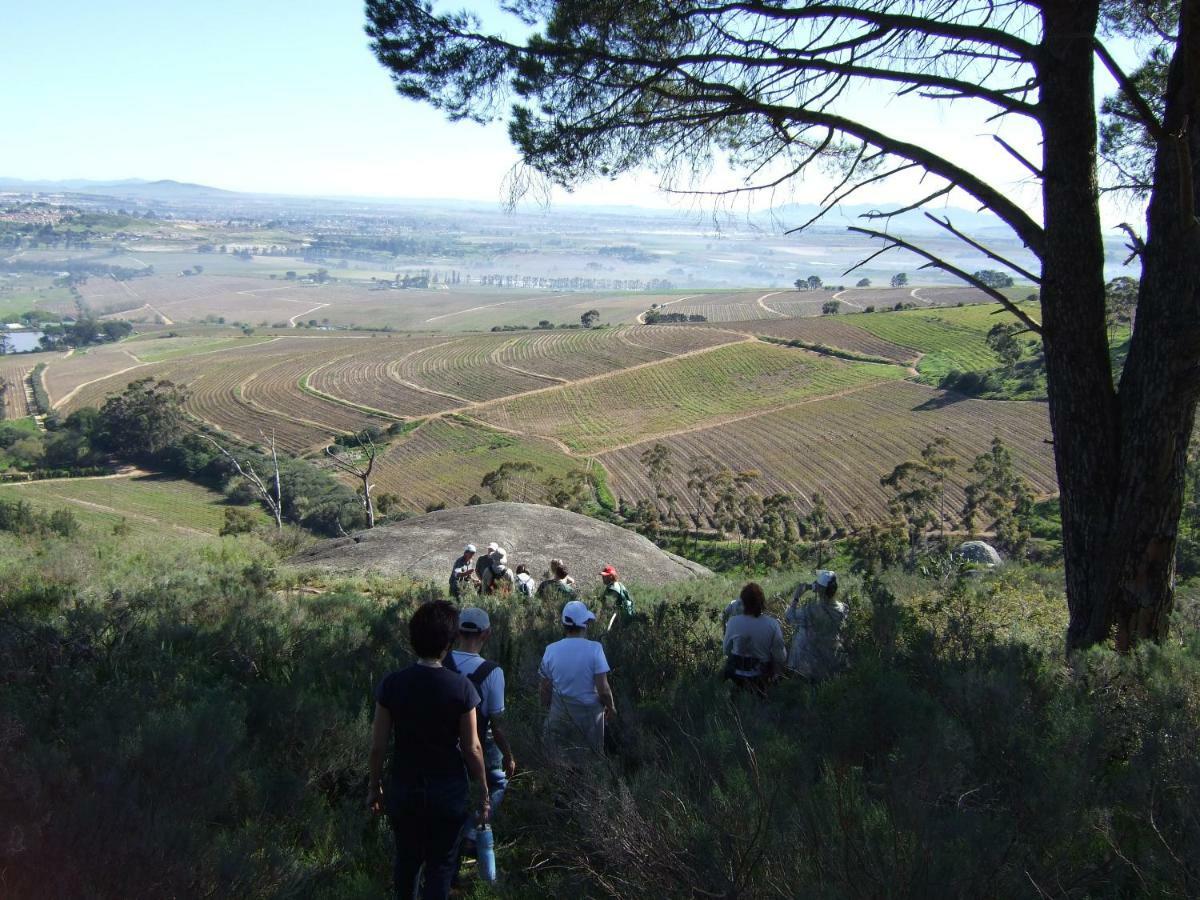 דירות סטלנבוש Mooiplaas Wine Estate מראה חיצוני תמונה